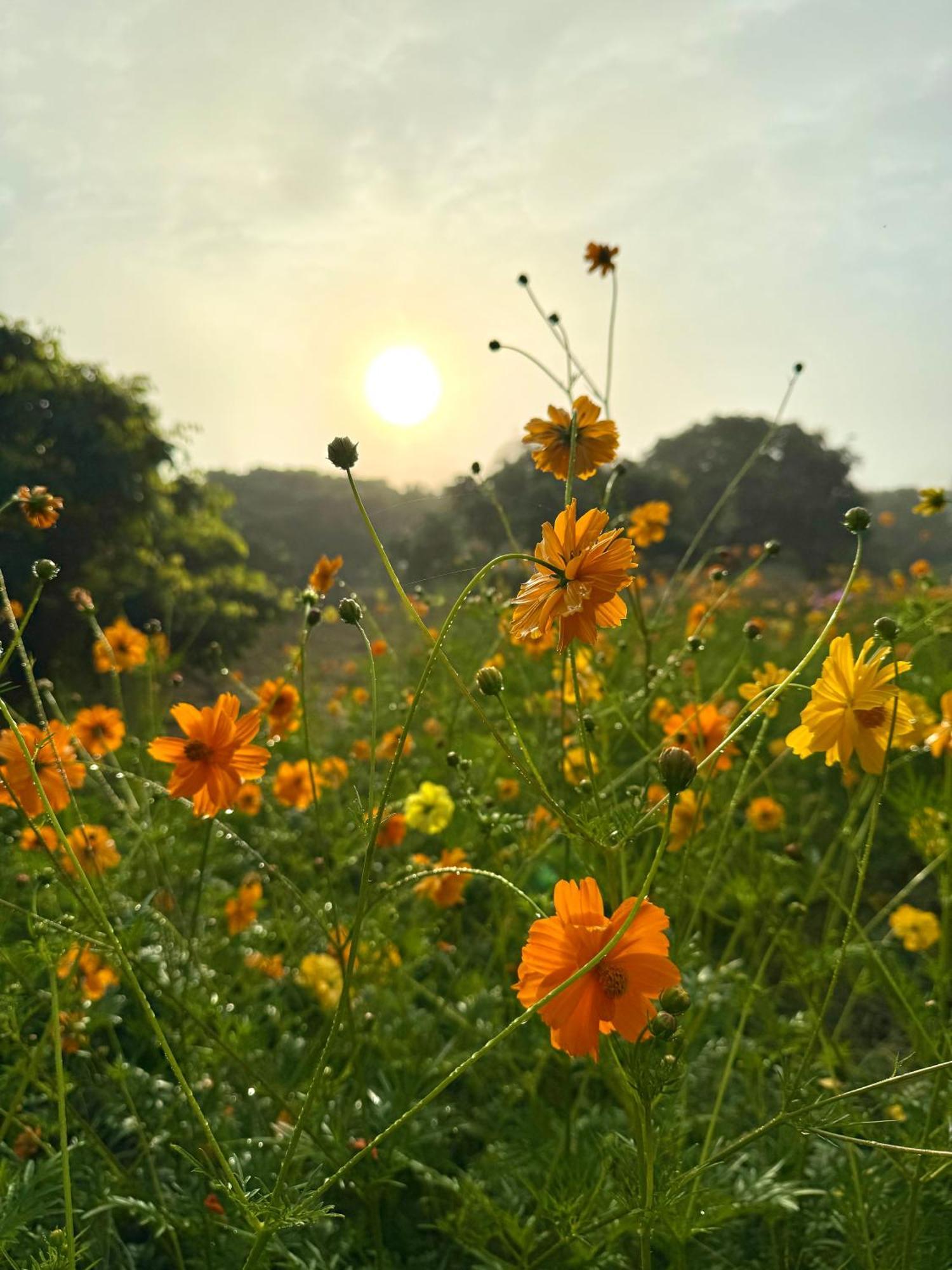 Doicherngngam Home Stay Chiang Dao Luaran gambar